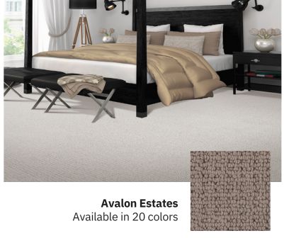 Avalon Estates Karastan Carpet Style